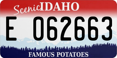 ID license plate E062663