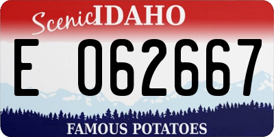 ID license plate E062667
