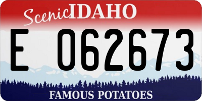 ID license plate E062673