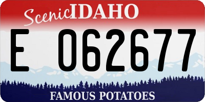 ID license plate E062677