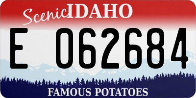 ID license plate E062684