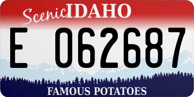 ID license plate E062687