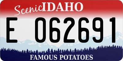 ID license plate E062691