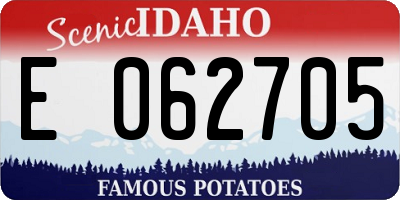 ID license plate E062705