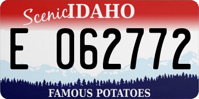 ID license plate E062772