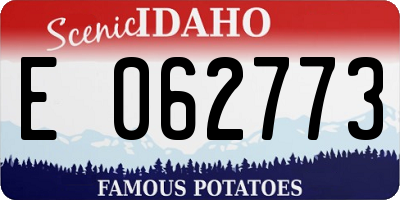ID license plate E062773
