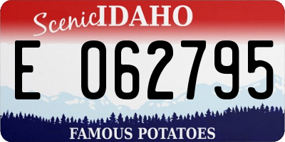 ID license plate E062795