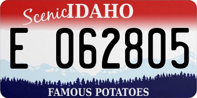ID license plate E062805