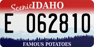 ID license plate E062810