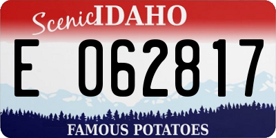 ID license plate E062817
