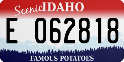 ID license plate E062818