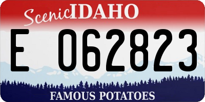 ID license plate E062823
