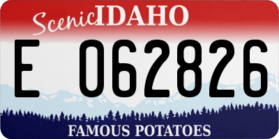 ID license plate E062826