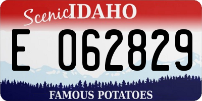 ID license plate E062829