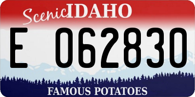 ID license plate E062830