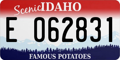 ID license plate E062831