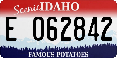 ID license plate E062842
