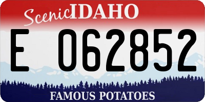 ID license plate E062852