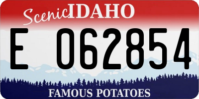 ID license plate E062854