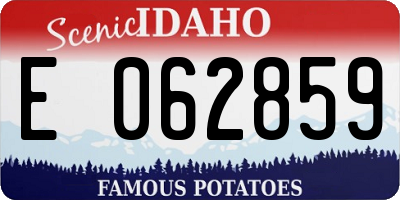 ID license plate E062859