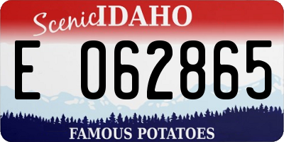 ID license plate E062865