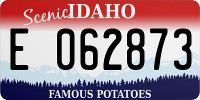 ID license plate E062873