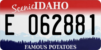 ID license plate E062881