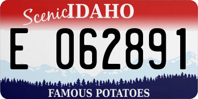 ID license plate E062891
