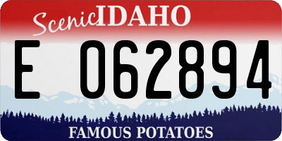 ID license plate E062894