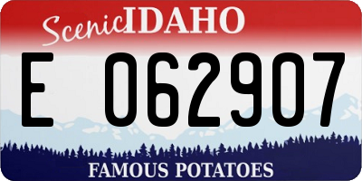 ID license plate E062907