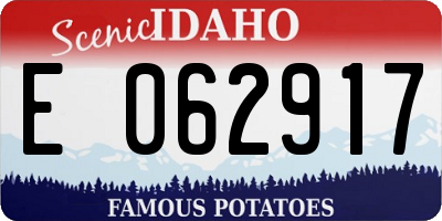 ID license plate E062917