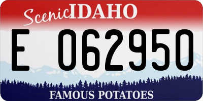 ID license plate E062950