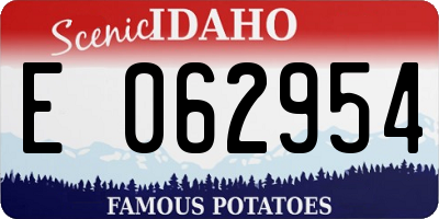 ID license plate E062954
