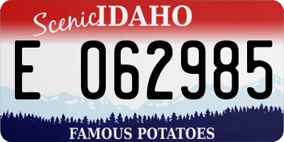 ID license plate E062985
