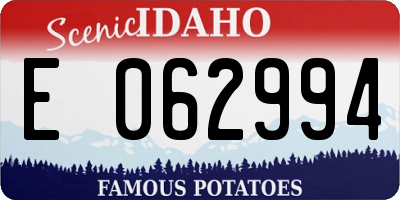 ID license plate E062994