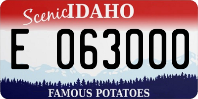 ID license plate E063000