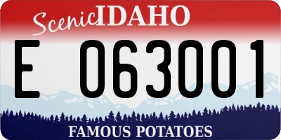 ID license plate E063001
