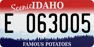 ID license plate E063005