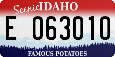 ID license plate E063010