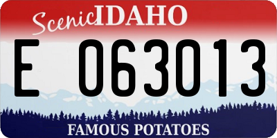 ID license plate E063013