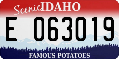 ID license plate E063019