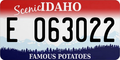 ID license plate E063022