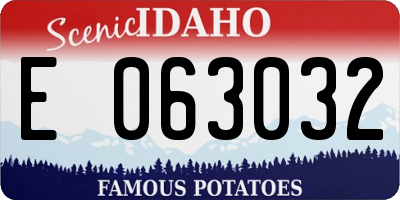 ID license plate E063032