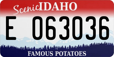 ID license plate E063036