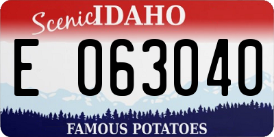ID license plate E063040