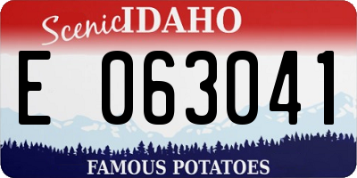 ID license plate E063041