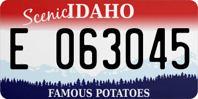ID license plate E063045