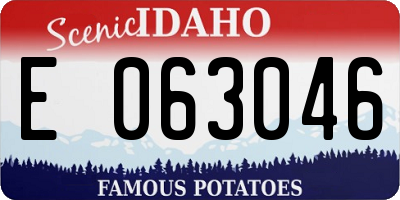 ID license plate E063046