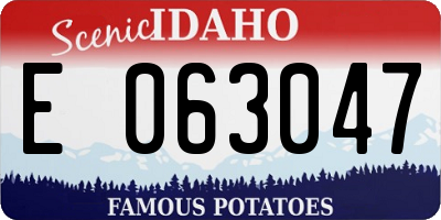 ID license plate E063047