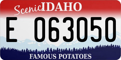 ID license plate E063050